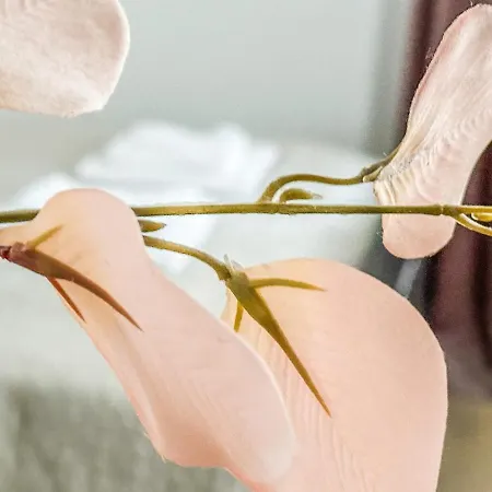 C 200m Do Plazy Апартаменты Сопот