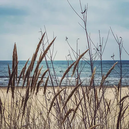 شقة C 200m Do Plazy *